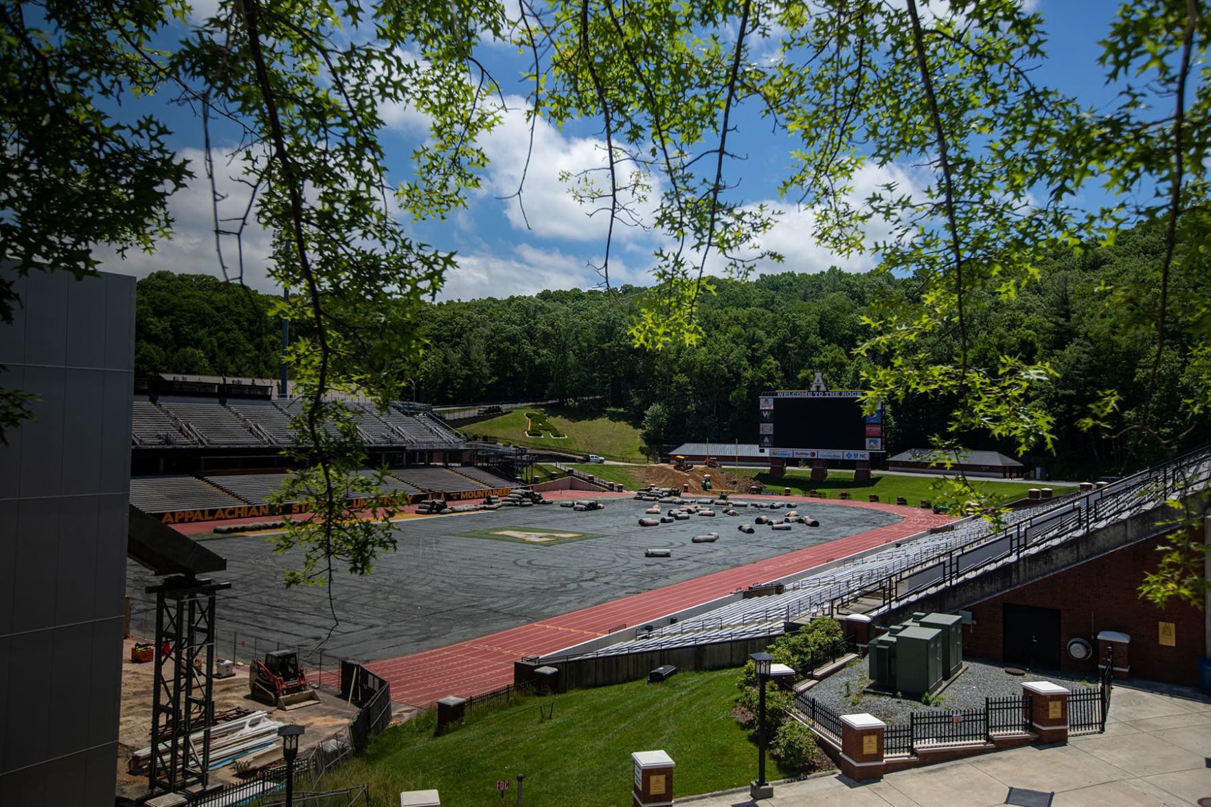 Turf removal